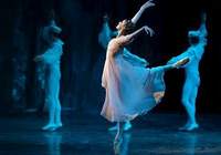 Best Classical Ballets at Grand Mikhailovsky Theatre